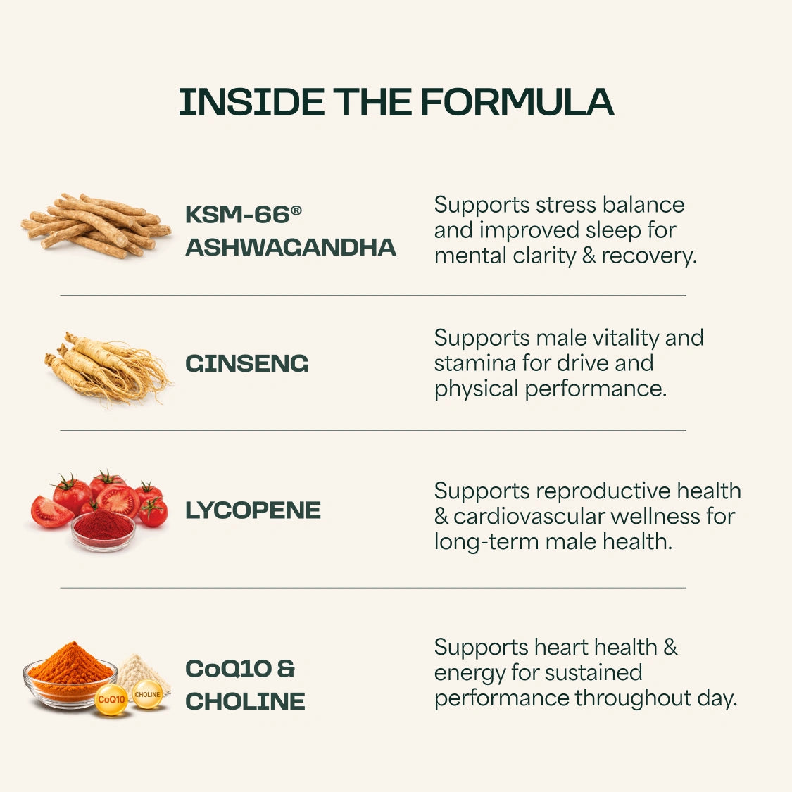 Men's Supplement