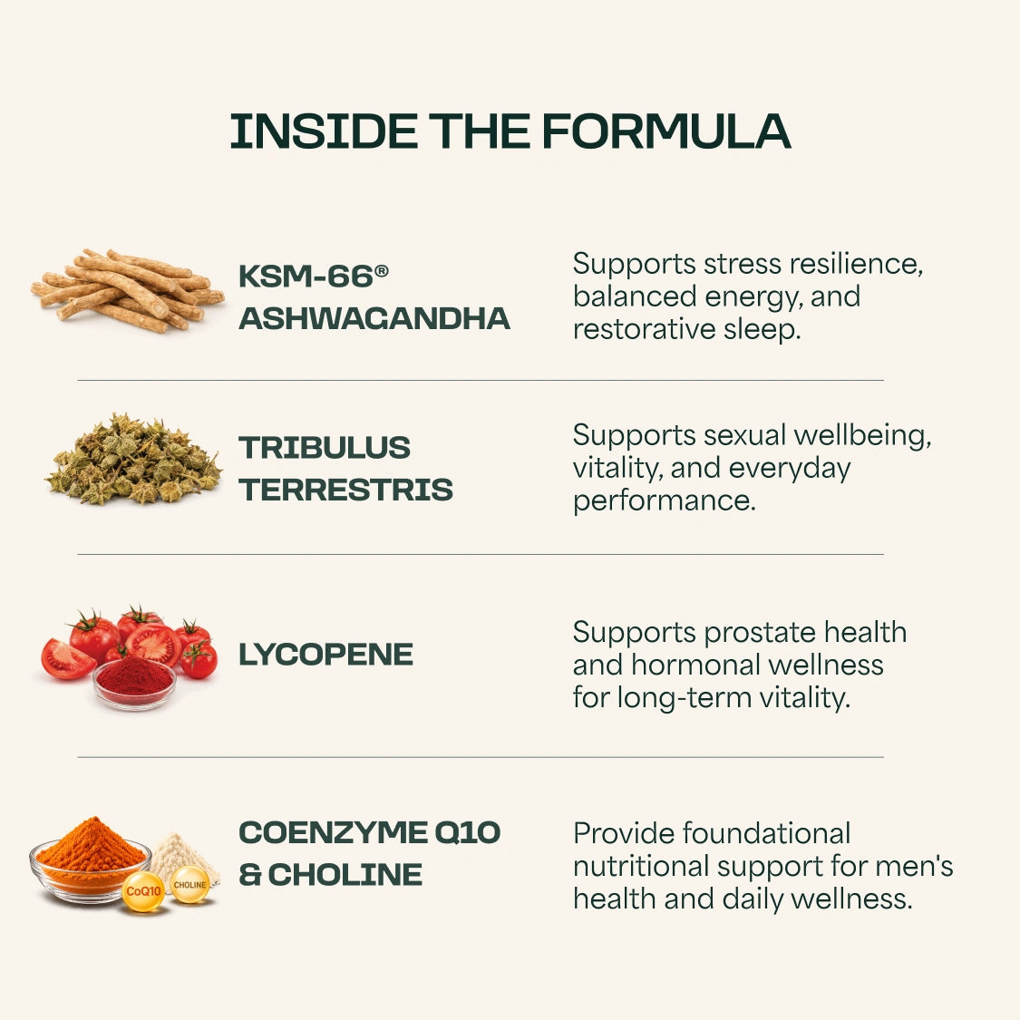 Men's Supplement
