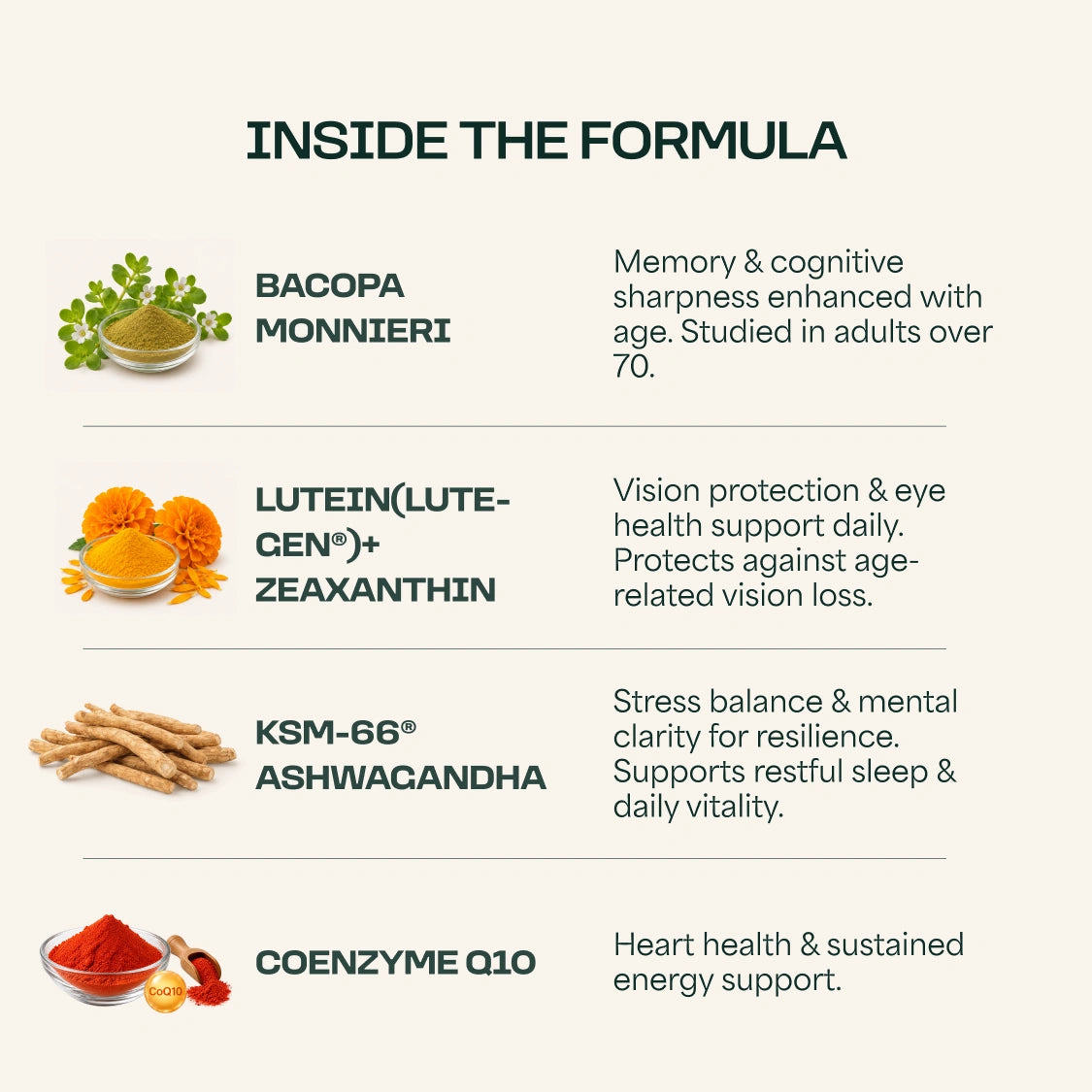Men's Supplement